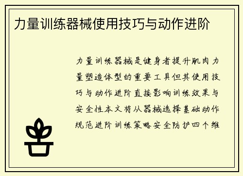 力量训练器械使用技巧与动作进阶